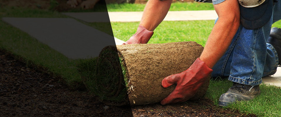 Watchung Landscapers